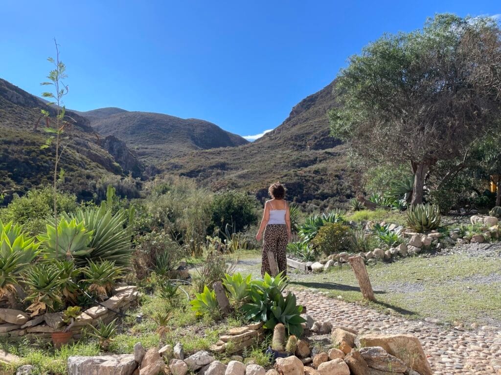 De natuur rondom het retreat landhuis