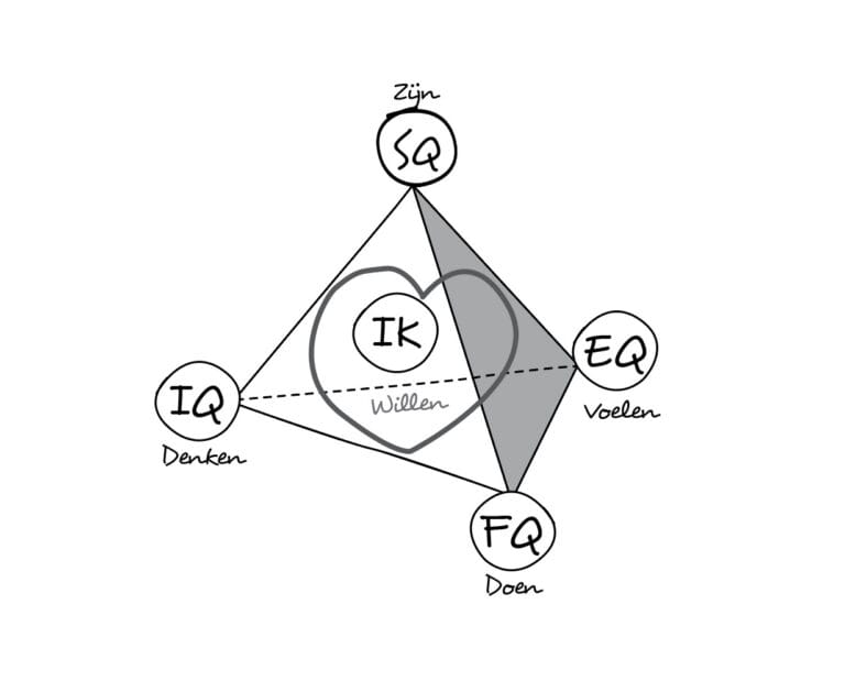 quantummodel ynnergy