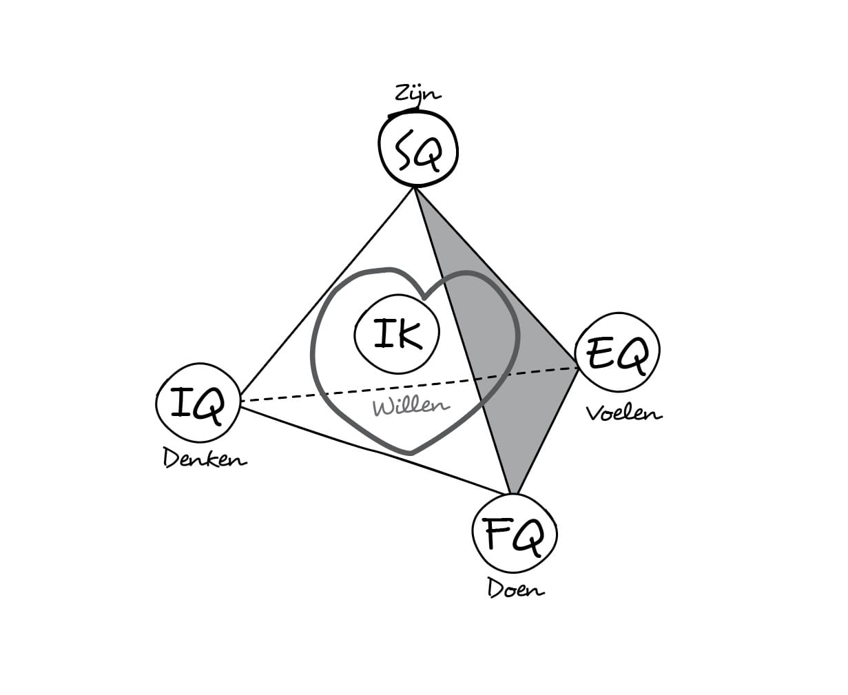 quantummodel ynnergy